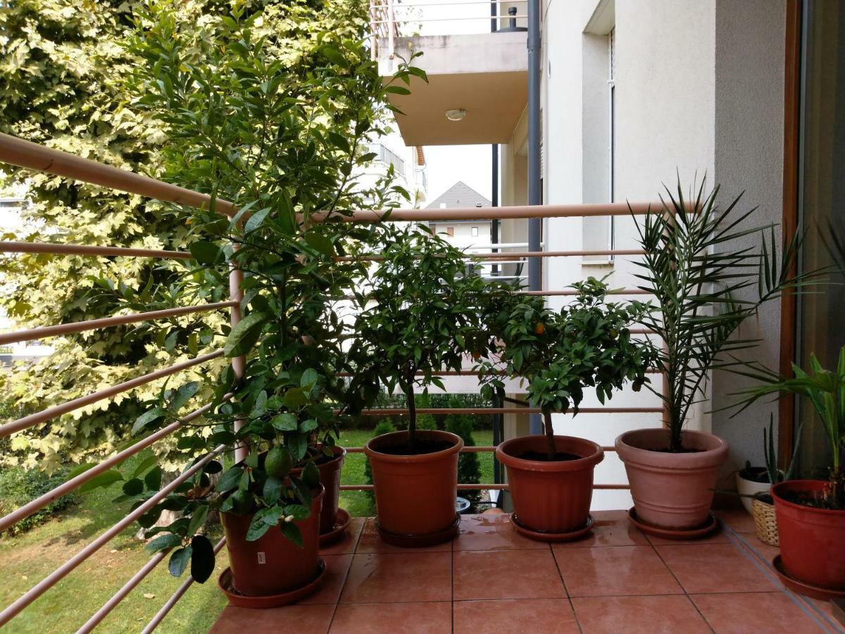 Mandarin Wellness Apartman Siofok Bagian luar foto